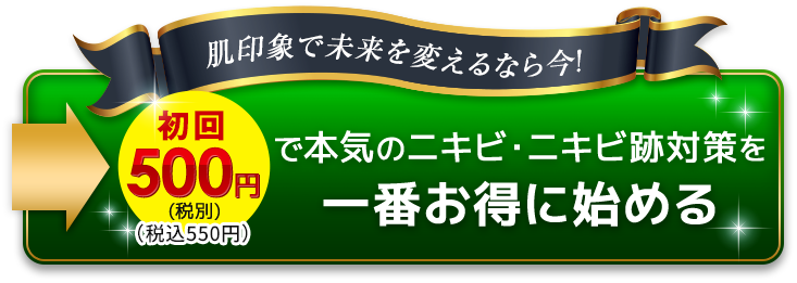 選べる定期コースで購入