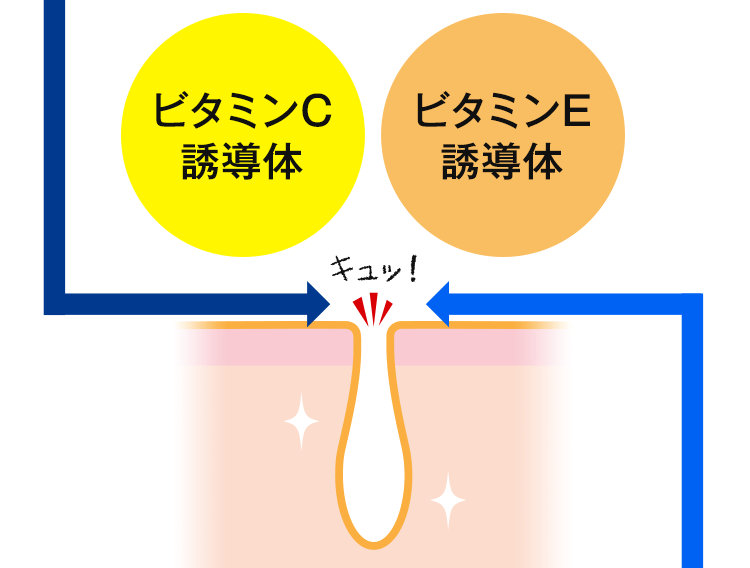 ビタミンC誘導体 ビタミンE誘導体