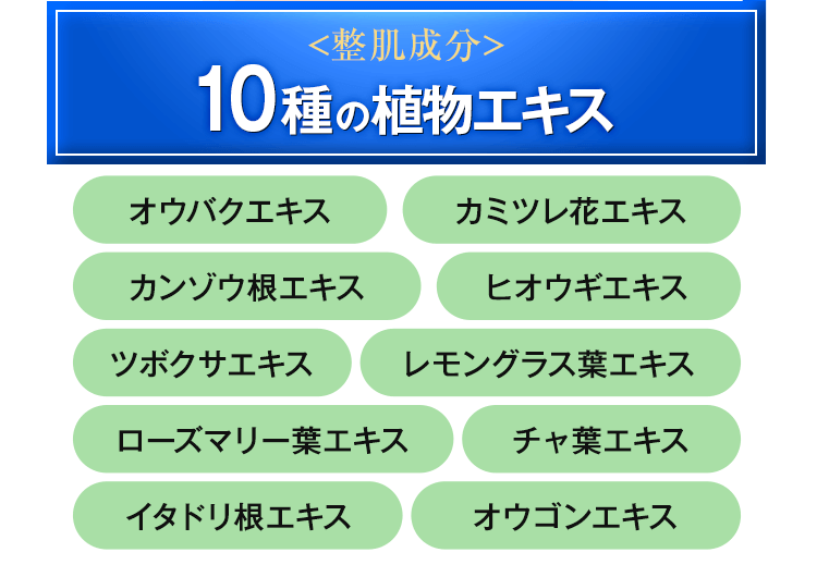 整肌成分 10種の植物エキス