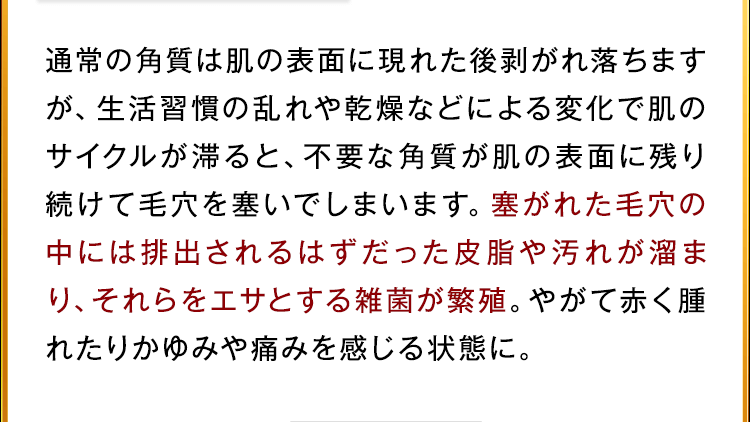 ふさがれた毛穴の中には排出されるはずだった皮脂や汚れが溜まり、それらを餌とする雑菌が繁殖