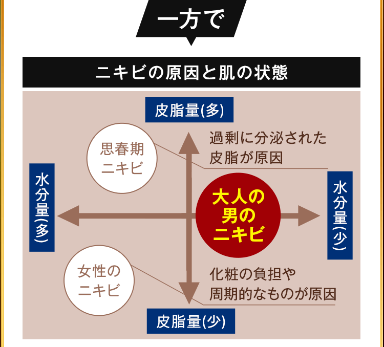 ニキビの原因と肌の状態