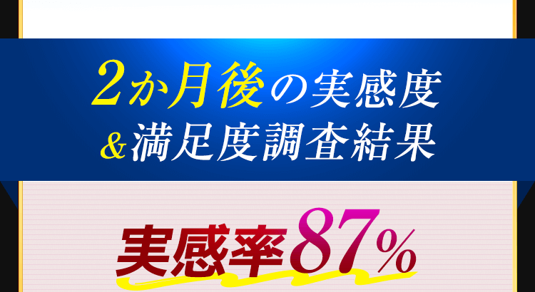 2か月後の実感度＆満足度調査結果