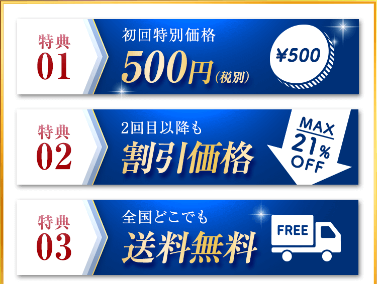 初回特別価格 全国どこでも送料無料